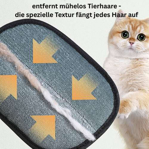 FellFit: Tierhaar-Entfernungshandschuh