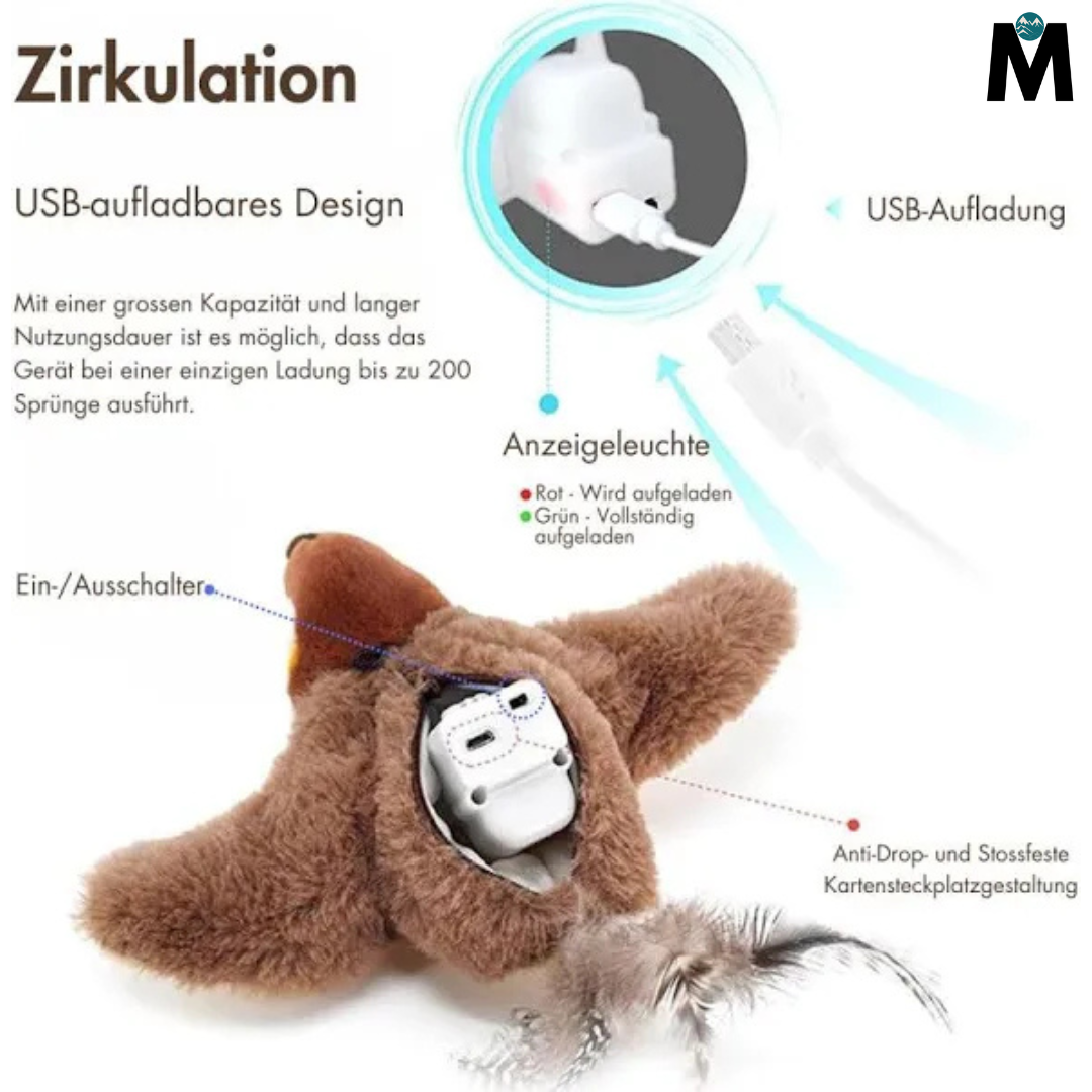 BirdieBuddy™ – Der beste Spielkamerad, wenn du nicht da bist.