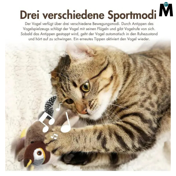 BirdieBuddy™ – Der beste Spielkamerad, wenn du nicht da bist.